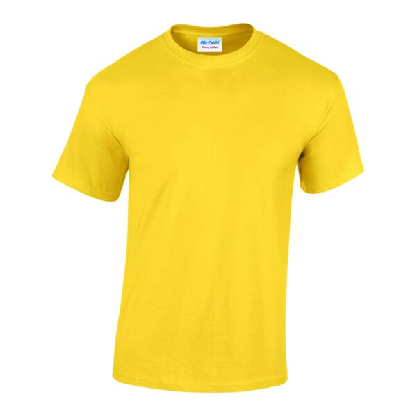 Heavy Cotton™ adult t-shirt Thumbnail